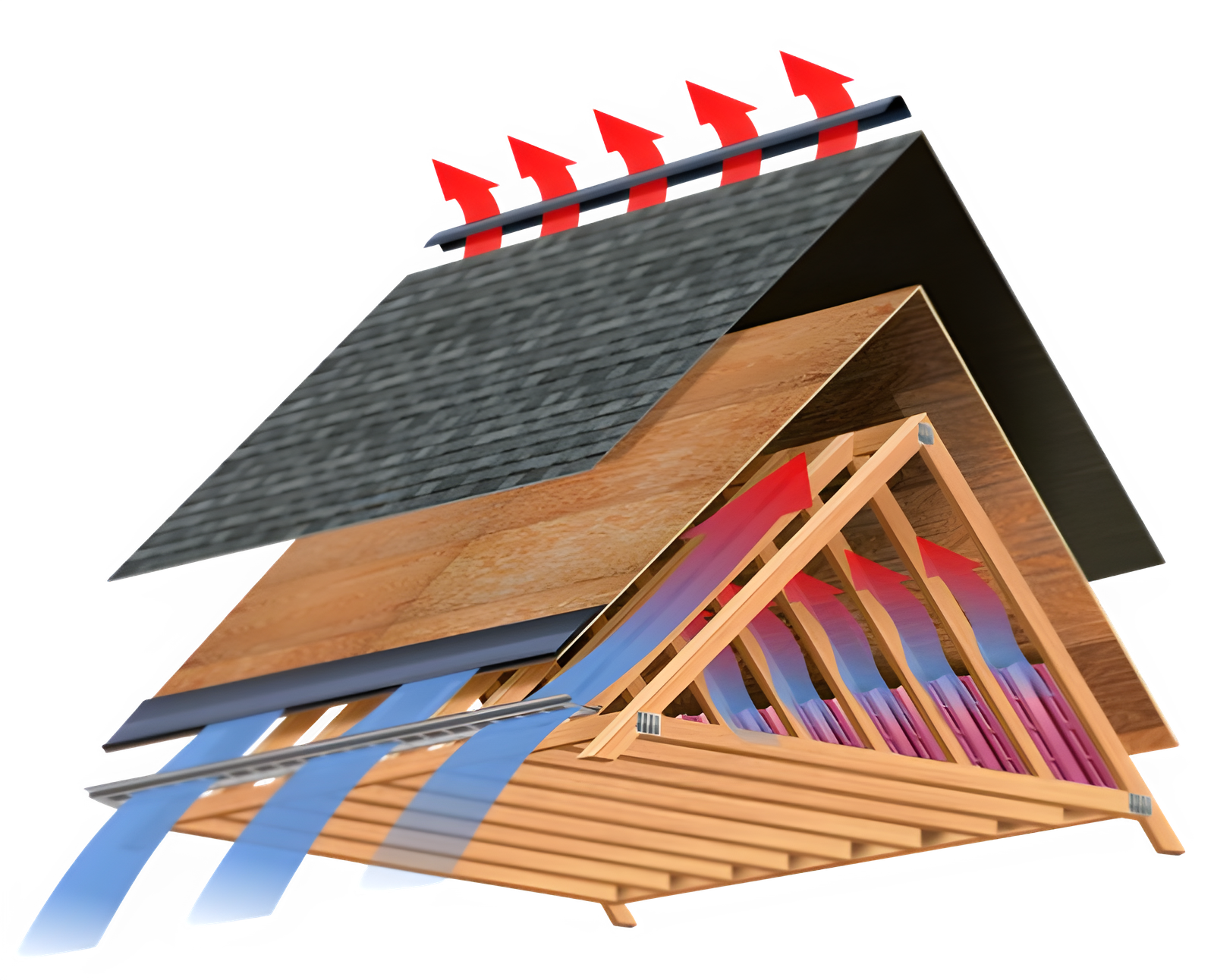 breathe removebg preview 1