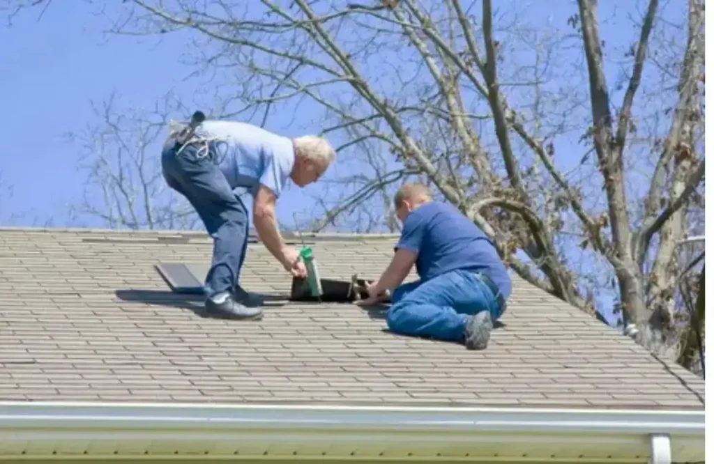 How Much Does Roof Repair Cost for Common Problems 1 1